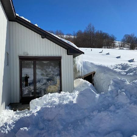 Blackberry House Zabljak Zewnętrze zdjęcie