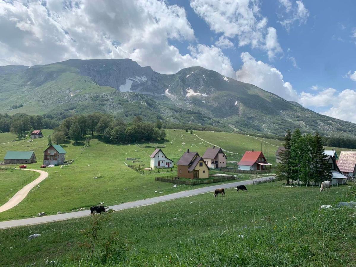 Blackberry House Zabljak Zewnętrze zdjęcie
