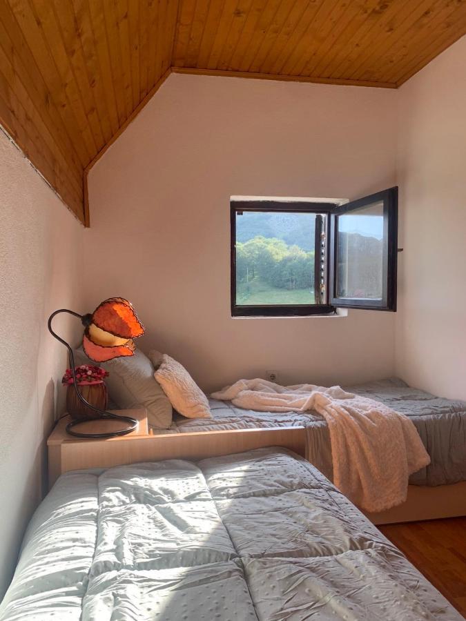 Blackberry House Zabljak Zewnętrze zdjęcie