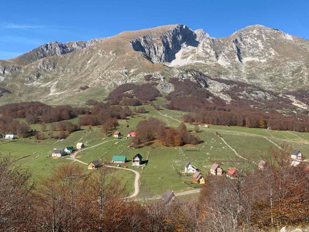 Blackberry House Zabljak Zewnętrze zdjęcie