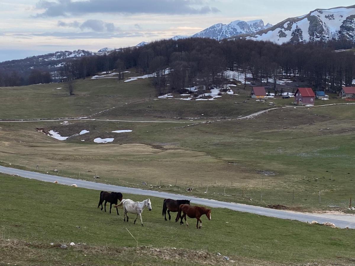 Blackberry House Zabljak Zewnętrze zdjęcie